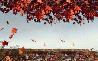 欧亿交易所下载_ok交易所安卓最新版下载